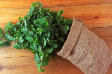 Rustik ahşap masada rustik kumaş torba taze organik yeşil nane grubu. Şifalı ve mutfak kullanımları ile aromatik nane