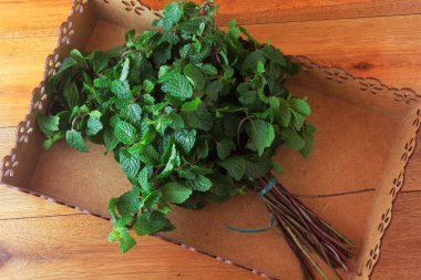 Rustik ahşap masa üzerinde sepet içinde yeşil organik taze nane grubu. Şifalı ve mutfak kullanımları ile aromatik nane