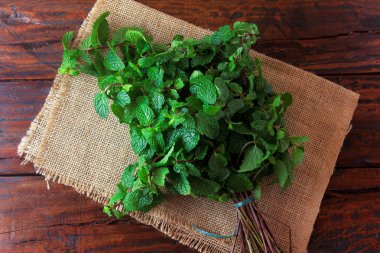 Rustik ahşap masada taze organik yeşil nane grubu. Şifalı ve mutfak kullanımları ile aromatik nane