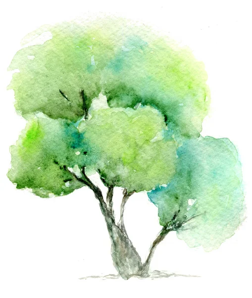 Illustration Aquarelle Chêne Avec Fond Blanc Grand Arbre Peinture Sur — Photo