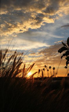 Hawaii rüzgarlı gün batımı