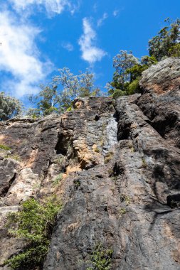 Purlingbrook şelale Queensland