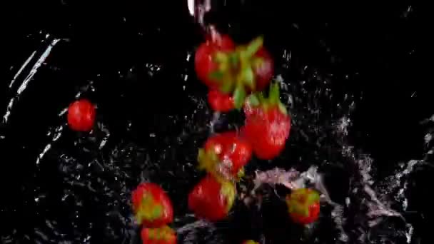 新鮮なイチゴの黒の背景上に水に落ちる 健康的な食事のコンセプトです 新鮮な果物の背景 スローモーション映像 — ストック動画
