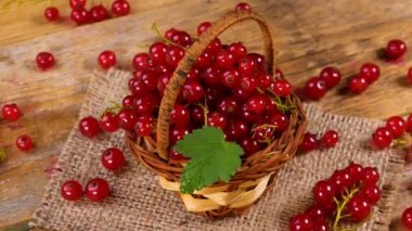 Taze kırmızı kuş üzümü çilek sepeti ahşap masa üzerinde döner. 4k