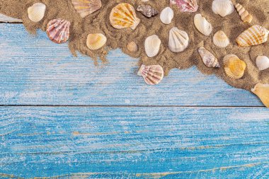 Mavi ahşap arka planda deniz kabukları olan yaz zamanı konsepti 