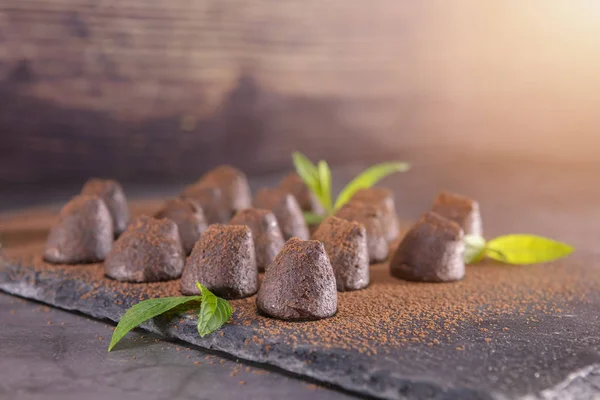 Homemade chocolate truffles with mint sprinkled with cocoa powde — Stock Photo, Image
