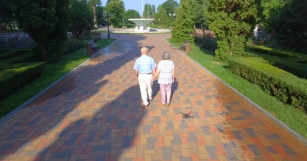 Luftaufnahmen Zeigen Ein Älteres Paar Das Händchen Haltend Sommerpark Spazieren — Stockvideo