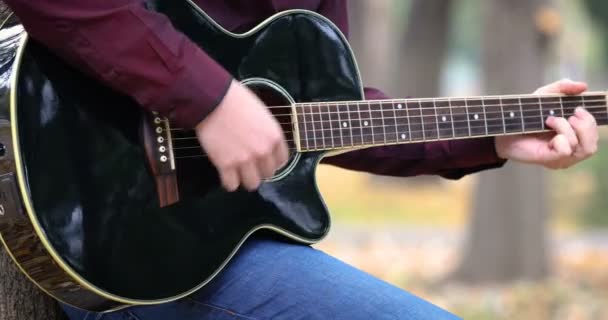 Chiudi Mani Dell Uomo Suonando Chitarra Acustica Artista Musicista All — Video Stock