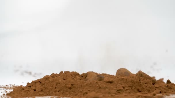 Pralinés Chocolate Que Caen Polvo Cacao Sobre Fondo Blanco Movimiento — Vídeos de Stock