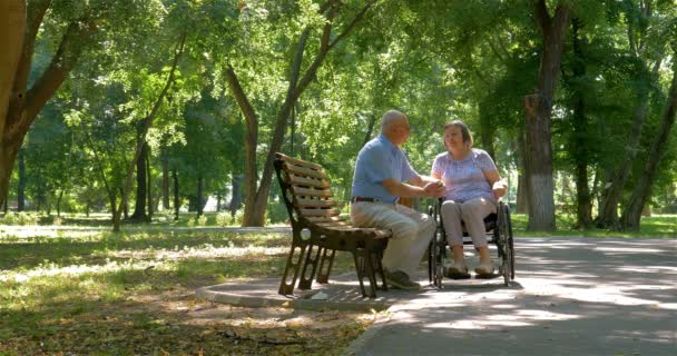 Senior Man Pratar Med Fru Rullstol Utanför Sommarparken — Stockvideo