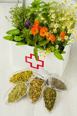 Bitkisel ilaç. Biberiye, nane, papatya, kekik, melissa, lavanta ve ilk yardım kutusunda calendula. Alt kısmında kurumuş otlar.