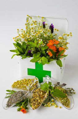 Bitkisel ilaç. Biberiye, nane, papatya, kekik, melissa, lavanta ve ilk yardım kutusunda calendula. Ön planda kurumuş otlar.