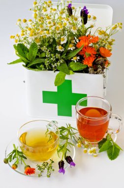 Alternatif Tıp. Biberiye, nane, papatya, kekik, melissa, lavanta ve ilk yardım kutusunda calendula. İki cam bardak ön planda bitkisel infüzyon.