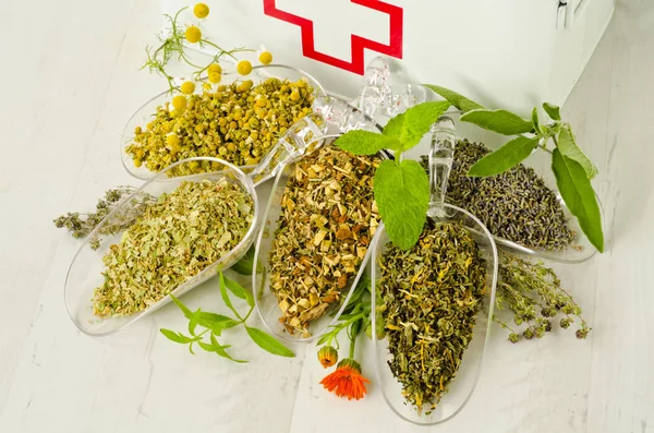 Medicina Herbal Ervas Secas Para Infusões Caixa Primeiros Socorros Fundo — Fotografia de Stock