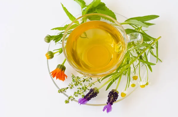 Alternatieve Geneeskunde Glazen Beker Van Kruiden Infusie Weergave Van Bovenaf — Stockfoto