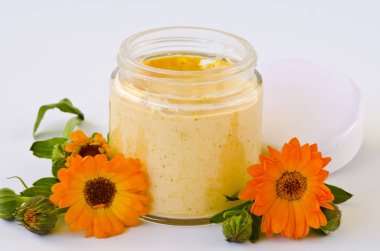 Alternatif Tıp. Calendula vücut beyaz zemin üzerine krem.