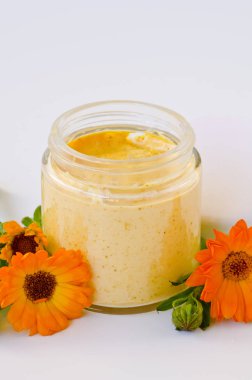 Alternatif Tıp. Calendula vücut beyaz zemin üzerine krem.