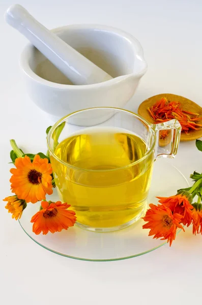 Medicina Alternativa Infusione Calendula Sfondo Bianco — Foto Stock