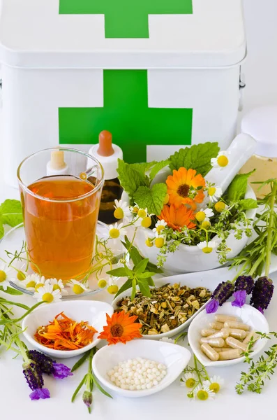 Alternativmedizin Kräutertherapie Rosmarin Minze Kamille Thymian Melisse Lavendel Und Ringelblume — Stockfoto