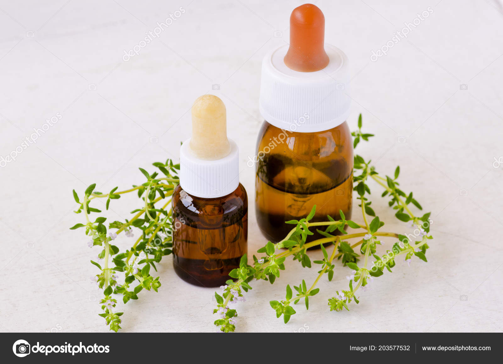 Тимьян Белый Масло Эфирное Купить