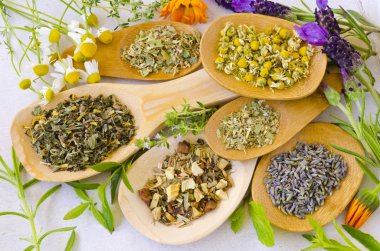 Alternatif Tıp. Bitkisel tedavi. Tahta kaşıklar şifalı otlar.