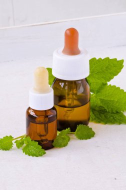 Alternatif Tıp. Homeopati. Beyaz arka plan üzerinde Melissa veya oğul otu esans.