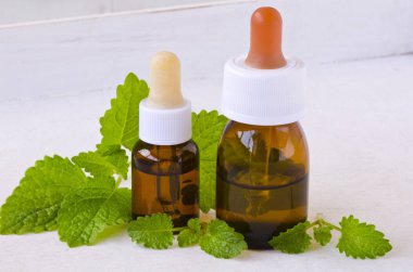 Alternatif Tıp. Homeopati. Beyaz arka plan üzerinde Melissa veya oğul otu esans. 
