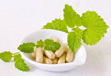 Alternatif Tıp. Bitkisel tedavi. Melissa veya melisa kapsül. Beyaz arka plan.