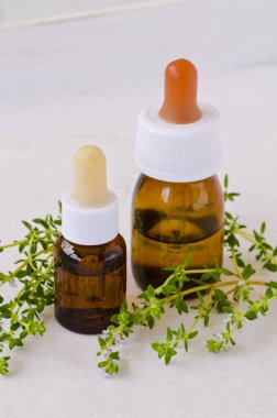 Alternatif Tıp. Bitkisel tedavi. Kekik esans. Beyaz arka plan.