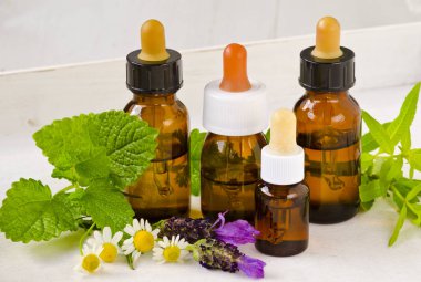 Alternatif Tıp. Bitkisel tedavi. Papatya, melissa, lavanta ve limon verbena temel yağlar.