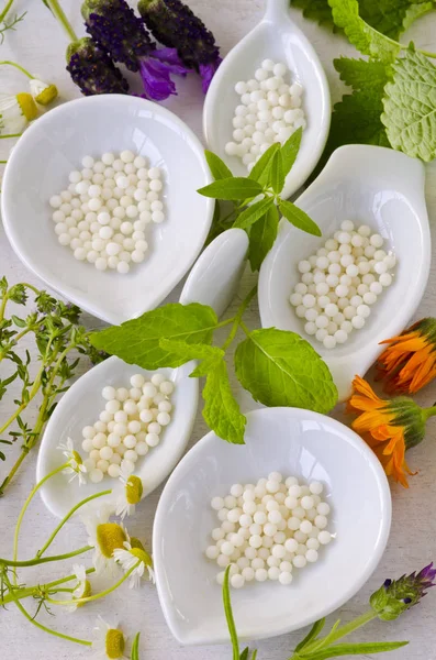 Medicina Alternativa Homeopatia Grânulos Ervas Curativas Sobre Fundo Branco — Fotografia de Stock