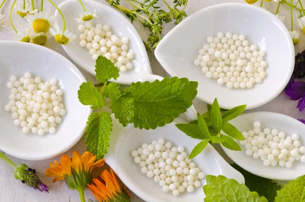 Médecine Alternative Homéopathie Globules Herbes Curatives Sur Fond Blanc — Photo