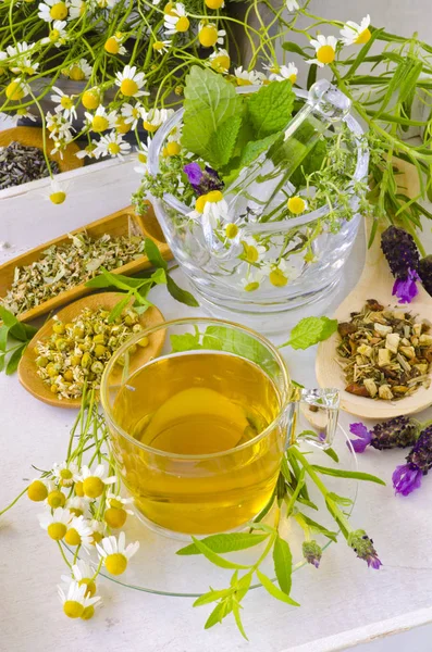 Alternatif Tıp. Bitkisel tedavi. Biberiye, nane, papatya, kekik, melissa, lavanta ve limon verbena. Ön planda bitkisel infüzyon.