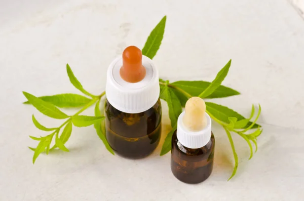 Alternatieve Geneeskunde Kruiden Therapie Lemon Verbena Etherische Olie Witte Achtergrond — Stockfoto