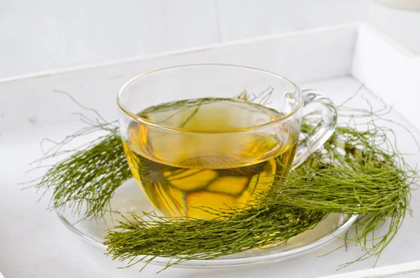 Alternative Medicine. Herbal Therapy. Horsetail infusion in glass cup. White background.