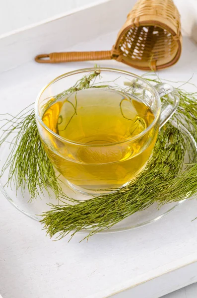 Alternative Medicine. Herbal Therapy. Horsetail infusion in glass cup. White background.