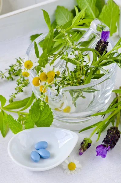 Alternatieve Geneeskunde Kruiden Therapie Blauwe Pillen Verse Healing Kruiden Witte — Stockfoto