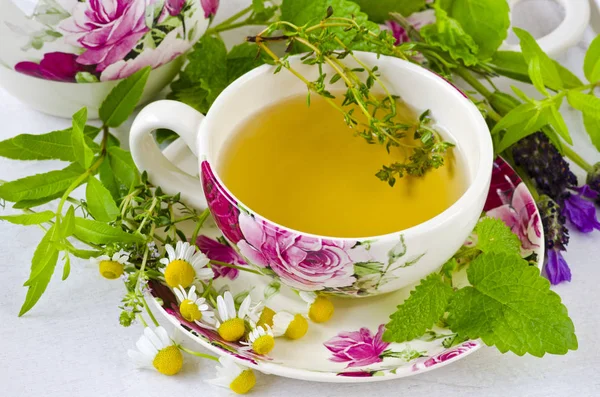 Alternative Medicine. Herbal Therapy. Cup of infusion and fresh healing herbs. White background.