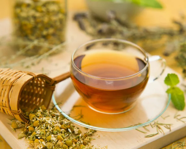 Alternative Medicine. Herbal Therapy. Cup of infusion and dried healing herbs. White background.Selective focus.