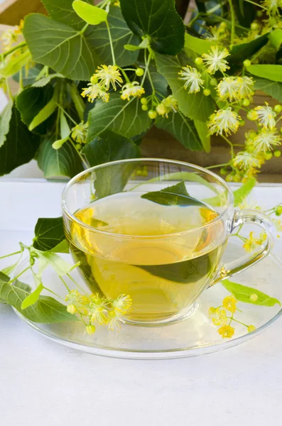 Alternatieve geneeskunde. Kruiden therapie. Limoen bloesem thee. — Stockfoto