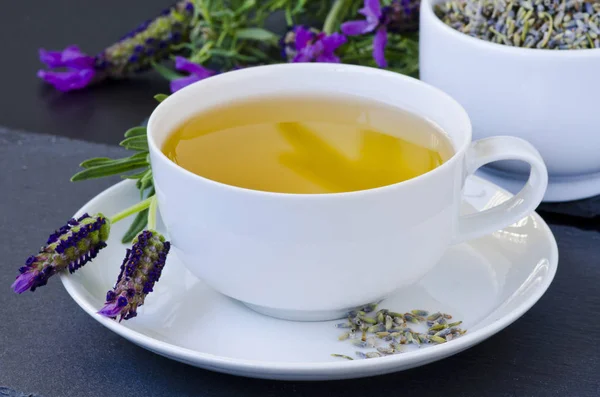 Альтернативная медицина. Травяная терапия Лавандовый чай . — стоковое фото