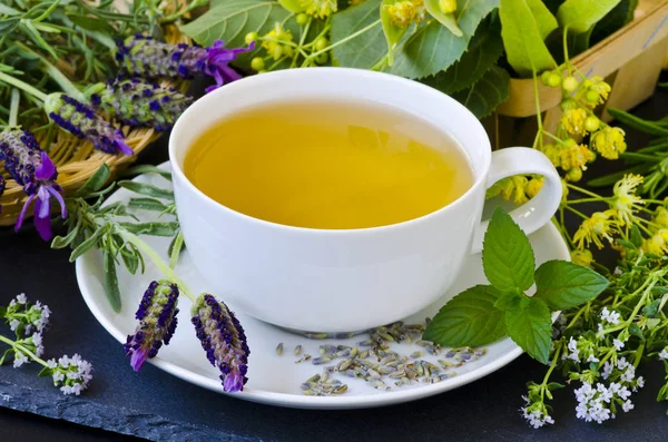 Medicina alternativa. Terapia herbal. Infusão de plantas curativas — Fotografia de Stock