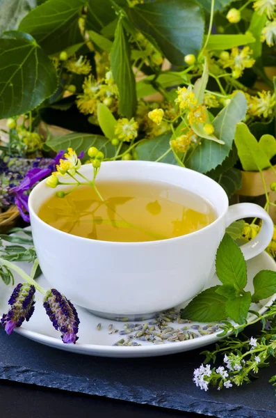 Medicina alternativa. Terapia herbal. Infusão de plantas curativas — Fotografia de Stock