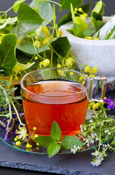 Medicina alternativa. Terapia herbal. Infusão de plantas curativas — Fotografia de Stock