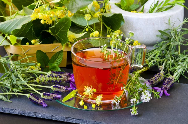 Medicina alternativa. Terapia herbal. Infusão de plantas curativas — Fotografia de Stock