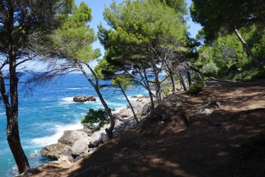Cami de Pintors mal deniz boyunca çam ormanı içinde görüntüleyin. Mallorca, İspanya, Haziran 2018 yılında Kuzey tarafında shooted.