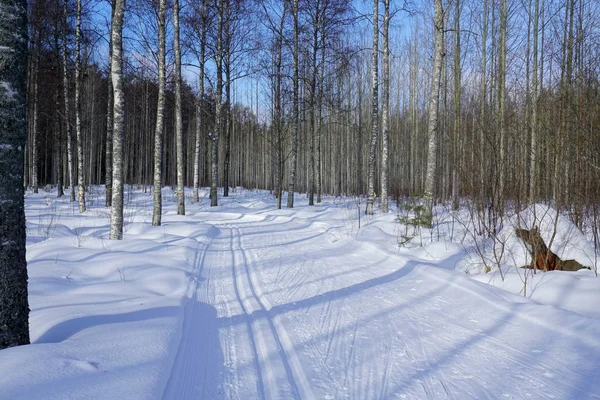 Blick Auf Den Sonnigen Und Frostigen Tag Winterwald Breite Straße — Stockfoto