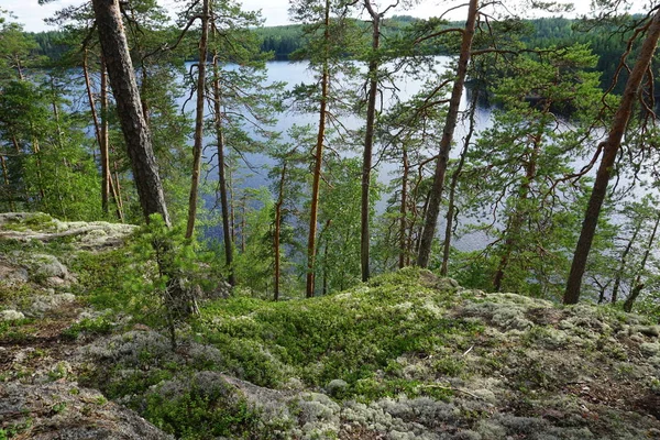 Blick Auf Den Waldsee Zwischen Bäumen Und Bemoosten Steinen Repovesi — Stockfoto