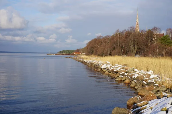 Widok Wybrzeże Zatoki Fińskiej Wieży Kościoła Lasu Tle Leningrad Region — Zdjęcie stockowe