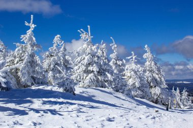 Fichtelberg, Oberwiesenthal, Almanya 'da kış manzarası